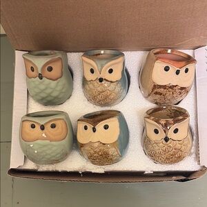 New Sun-e Set of 6 Owl Ceramic Planters